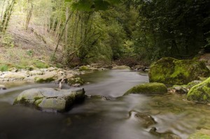 L'eau, source de vie.